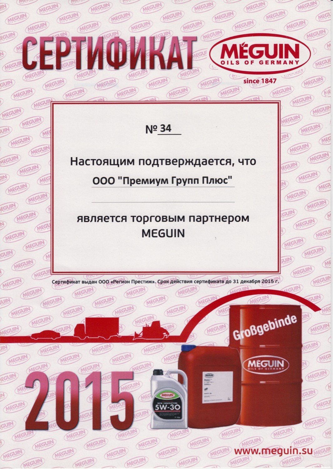 Сертификат MEGUIN 2015